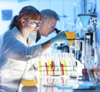 <font color=#2DB2A0>In the Health Sector</font>